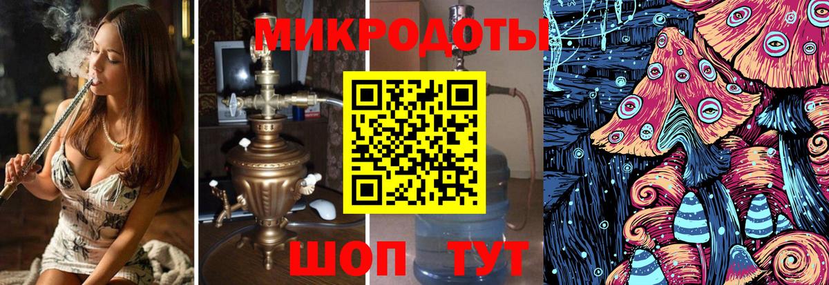 Галлюциногенные грибы Psilocybe Оренбург