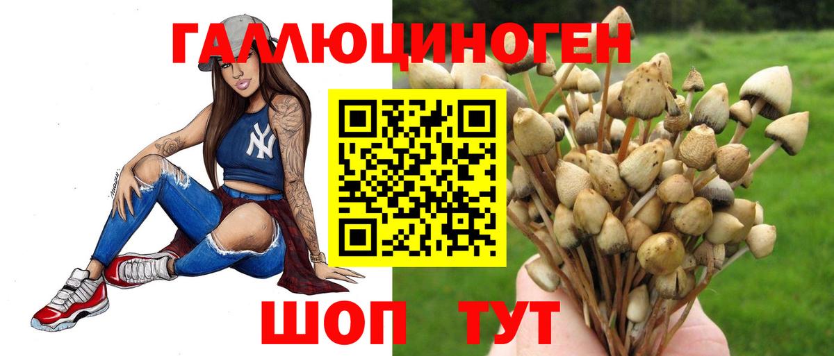 Оренбург  Псилоцибиновые грибы Psilocybe  Вход с VPN  Псилоцибиновые грибы MAGIC MUSHROOMS 